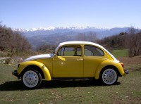 /album/galerie-photos/cox-wagner-jpg/